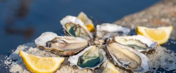 Oesters uit Marennes-Oléron