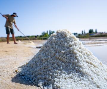 Lokale producten île d'Oléron Marennes