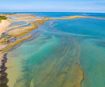 Playas de la isla de Oléron y Marennes-Becken