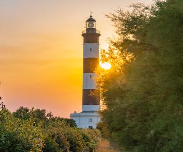 Phare de Chassiron - webcam