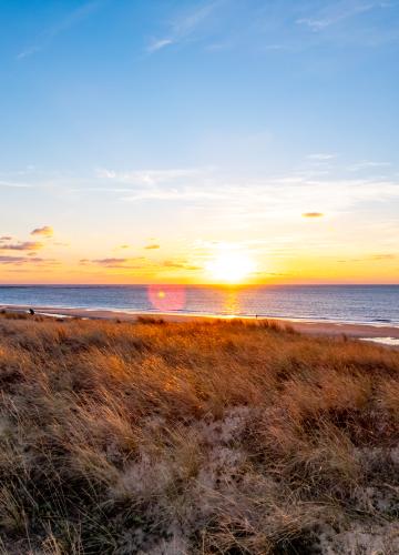 Météo, île d'Oléron et bassin de Marennes