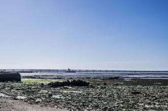 La pointe des Chardons et ses vies cachées