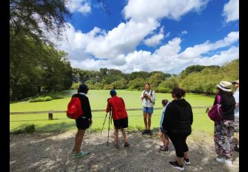 La visite guidée du Marais aux Oiseaux_Dolus-d'Oléron