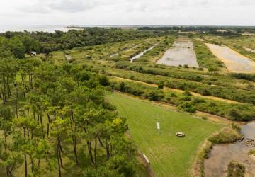 Camping Le Dauphin_Saint-Pierre-d'Oléron