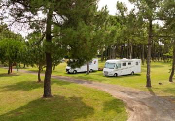 Camping Le Dauphin_Saint-Pierre-d'Oléron