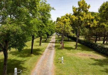 Camping Le Dauphin_Saint-Pierre-d'Oléron