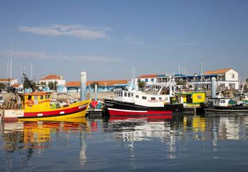 Port de la Cotinière