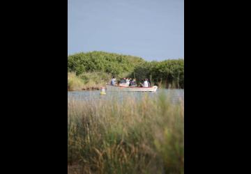 Le Port des Salines