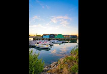 Le Port des Salines