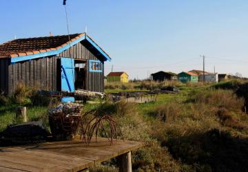 Cabane Fort-Royer1