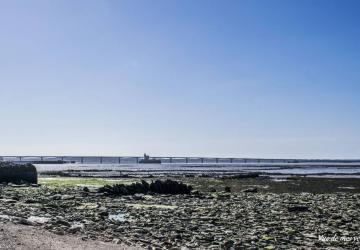 La pointe des Chardons et ses vies cachées