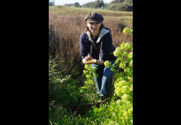 Atelier plantes comestibles