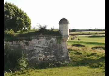 Le P'tit Brouage - Meublé_Marennes-Hiers-Brouage