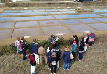 Visite commentée du marais salant du Port des Salines