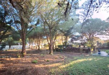 Visites des jardins de l'âme Cham_Saint-Denis-d'Oléron