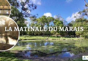 La Matinale du Marais_Dolus-d'Oléron